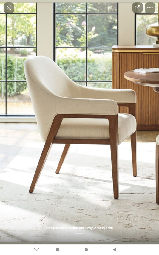 Dinning chair 029
